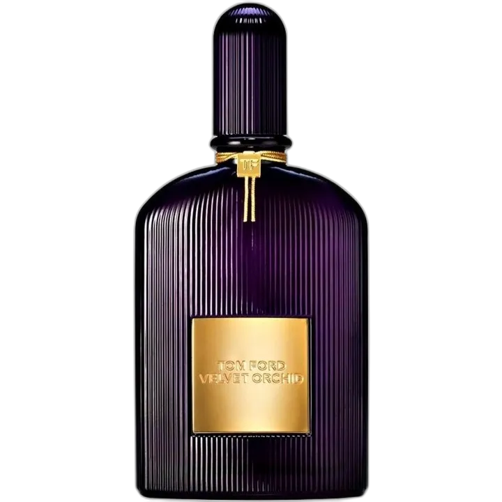 Velvet Orchid